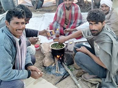 The Nagaur Cattle Fair